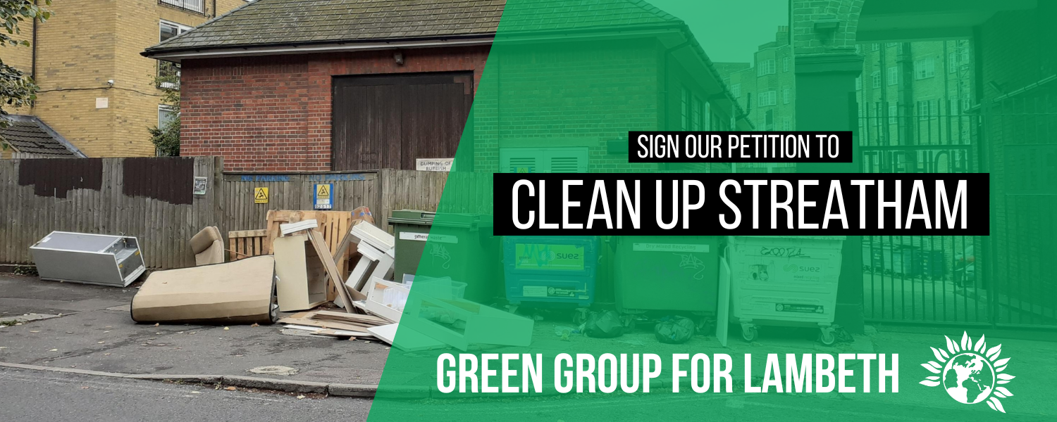 Image of Fly tipping hotspot in Streatham with text "sign our petition to Clean Up Streatham" followed by "Green Group Lambeth" and Green party logo